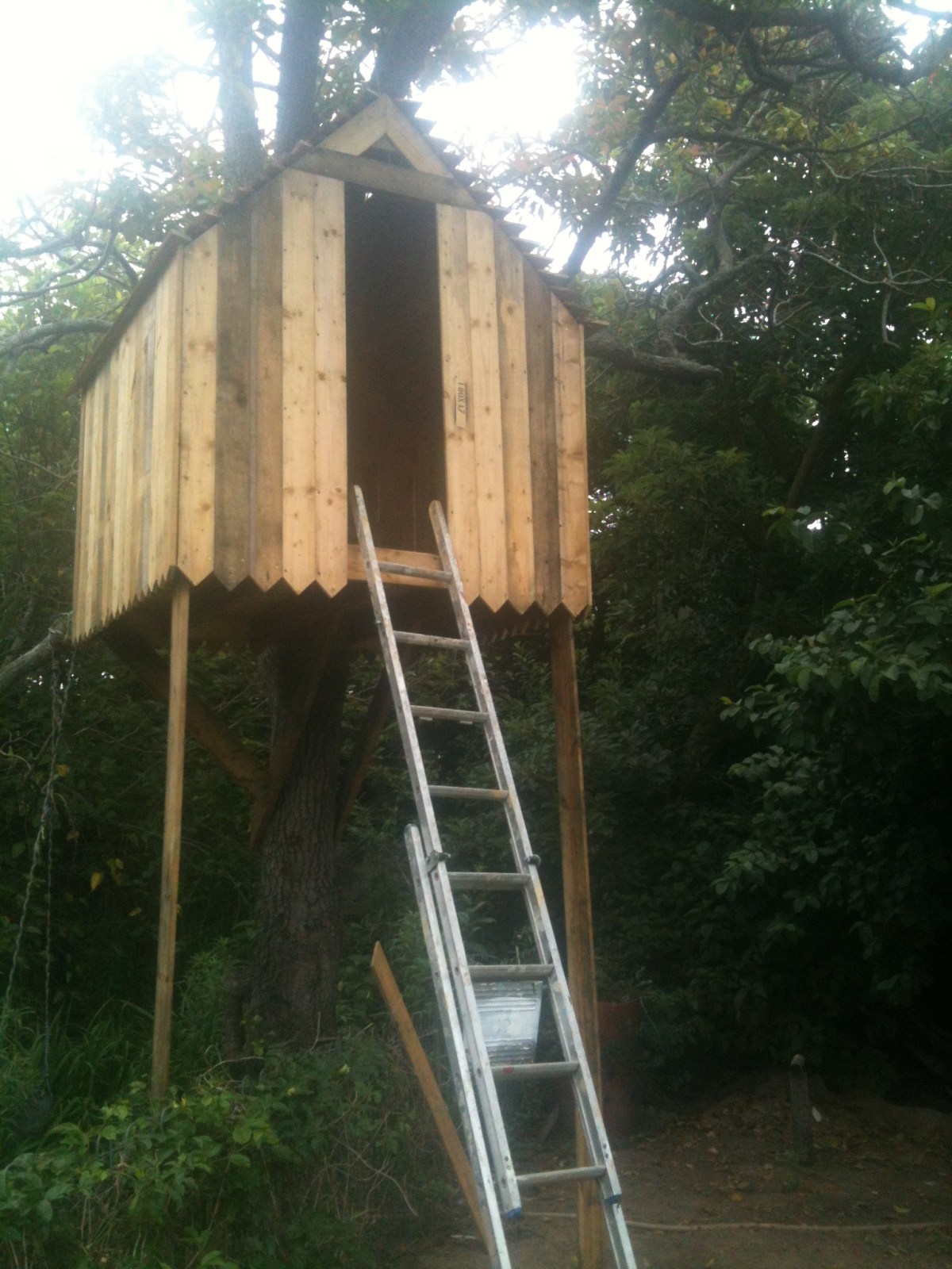 Freedom: Yes its something you&nbsp;build!